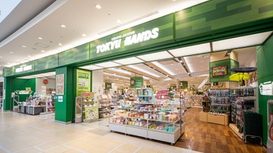 パイナップル豆乳ローション 東急ハンズ